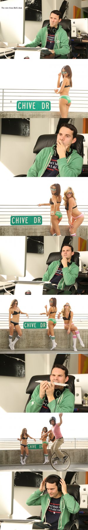 http://img.exs.lv/robii/bob-new.jpg
