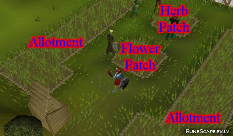 Farming area