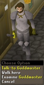 Guildmaster Guildmaster