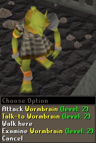 Wormbrain