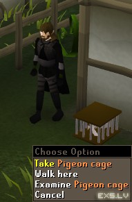 Pigeon cage