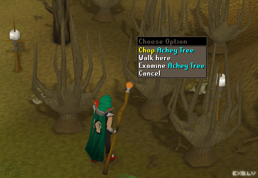 Chop Achey Tree Chop Achey Tree