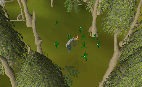 /