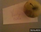 06213008_1.jpg