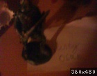 06214603_1.jpg