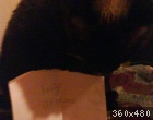 07205220_1.jpg