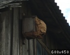 Pievienotais attēls