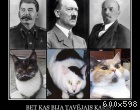 Pievienotais attēls