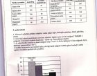 Pievienotais attēls