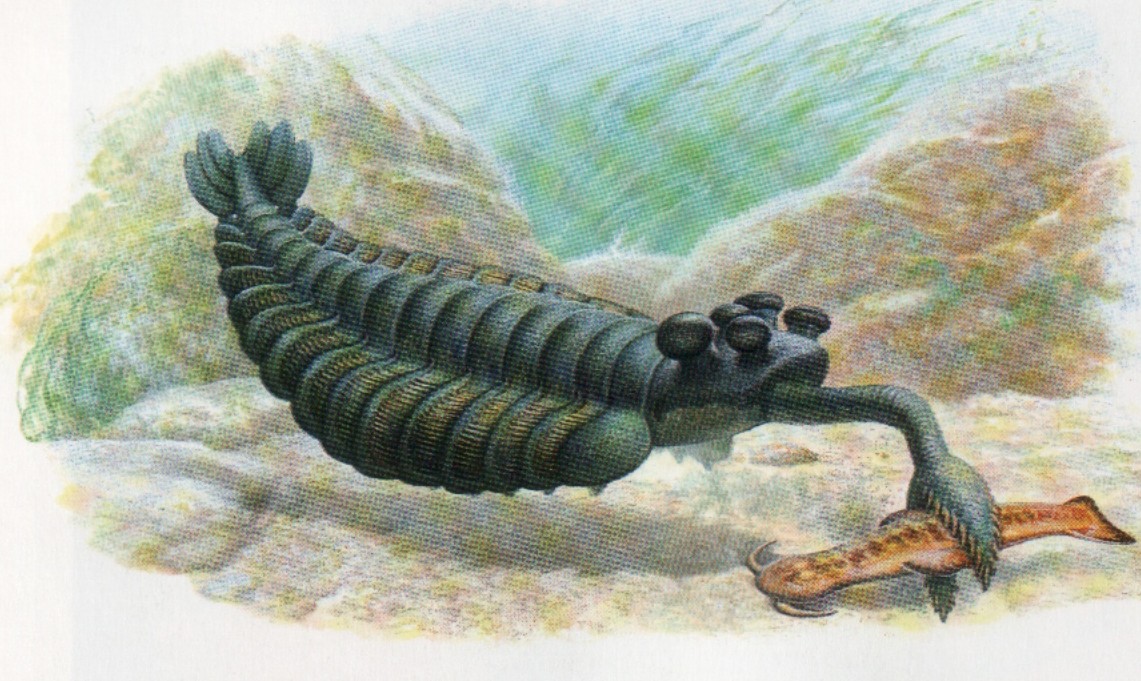 opabinia
